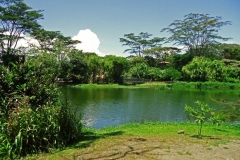 INBioparque Guided Nature Tour in San Jose