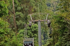 Tram and Park