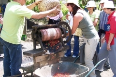 Don Juan Day Coffee Tour