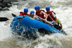 IMG_A9DB6C-E5F98F-625B44-276F5D-9530D5-67118C