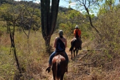Gulf of Papagayo Horseback Riding Tour