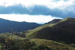 Panama - Tropical Cross-Country Safari
