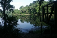 Panama - Hiking Metropolitan Natural Park Nature Trails
