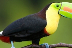 Panama