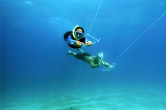 Panama - Deep Boarding Snorkeling Tour Bocas Del Toro