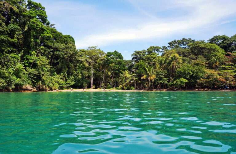 Top Things To Do in Puerto Viejo Costa Rica