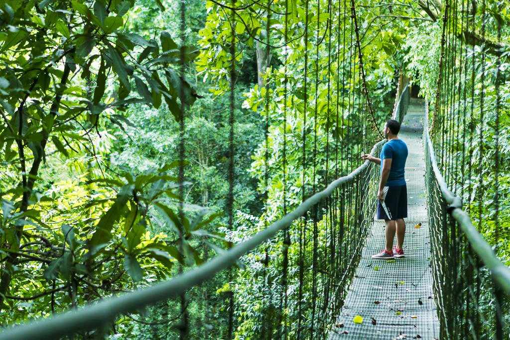 Las Excursiones De Crucero Más Vendidas En Costa Rica Temporada de ...