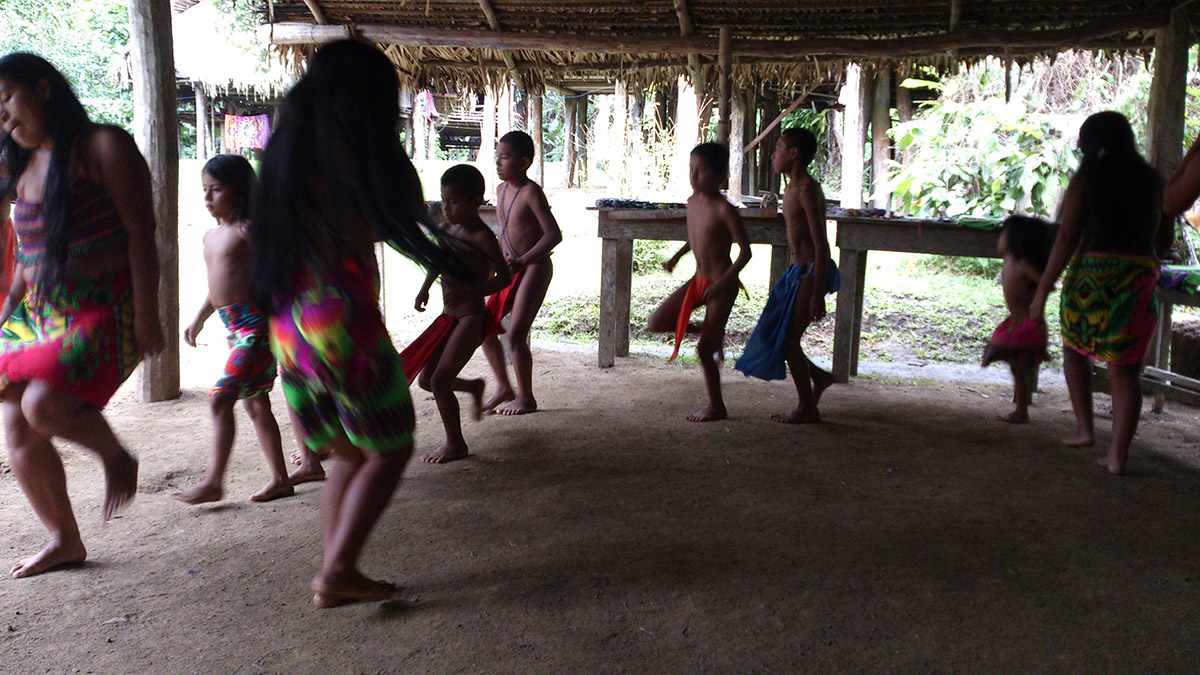 Wounaan And Embera Baskets Indigenous Art From Panama Wounaan And Embera Baskets Indigenous Art From Panama