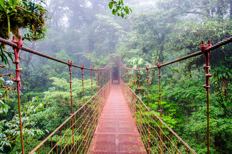 Top 5 Unique Things to do in Monteverde, Costa Rica
