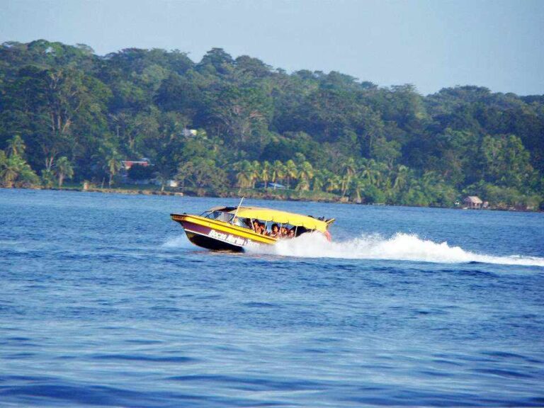 Caribe Shuttle: La Mejor Manera De Viajar Entre Costa Rica A Panamá