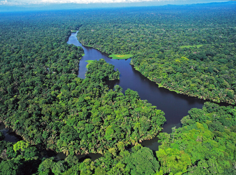 Tortuguero National Park FAQs