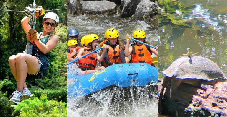 Las Mejores Excursiones de Crucero en Costa Rica Temporada de Cruceros 2019 – 2020 Parte 2