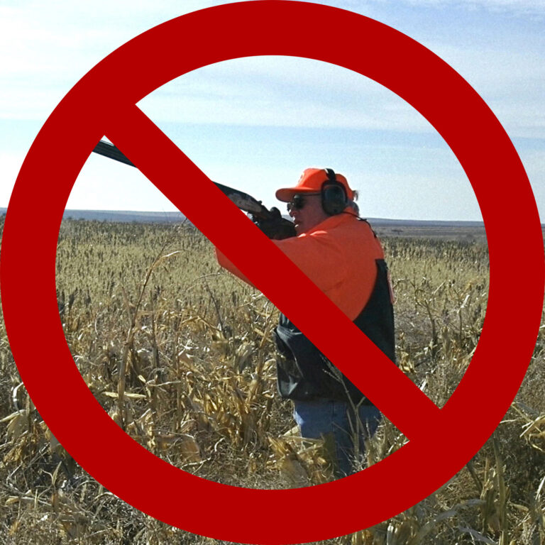 Costa Rica Bans Hunting For Sport: 1st In Latin America