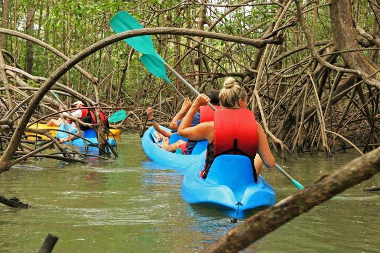 Excursiones por los Manglares de Isla Damas: Una Experiencia Única en Manuel Antonio