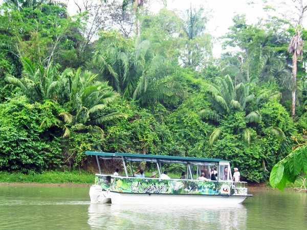 Explore Caño Negro por Barco Pontón en Costa Rica – Experiencia The Real Deal Tours