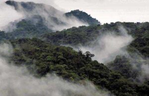 What is a Rainforest vs. Cloud Forest in Costa Rica?