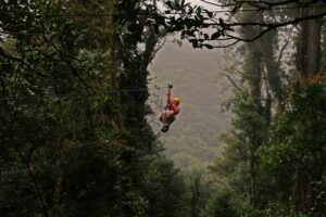 What is a Rainforest vs. Cloud Forest in Costa Rica?