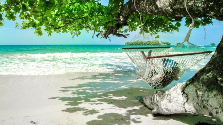 Red Frog Beach Canopy Bocas Del Toro – Real Deal Team Experience