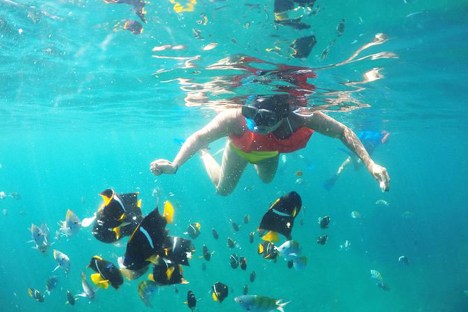 Best Snorkeling Spots in Puerto Vallarta - Snorkeling Puerto Vallarta, Mex