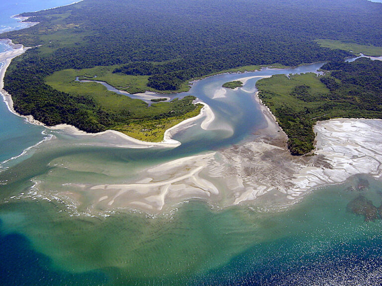 Snorkeling Isla Coiba, Panama; My Spectacular Day!