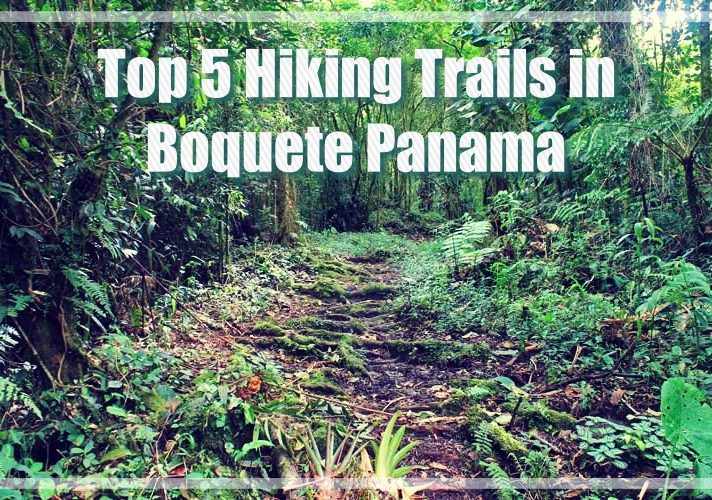 Top 5 Boquete Panama Hiking Trails | Best Guided Hiking in Panama