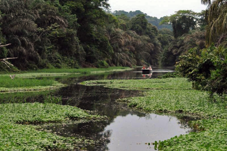 Las 7 Maravillas Naturales de Costa Rica – #5 Canales de Tortuguero