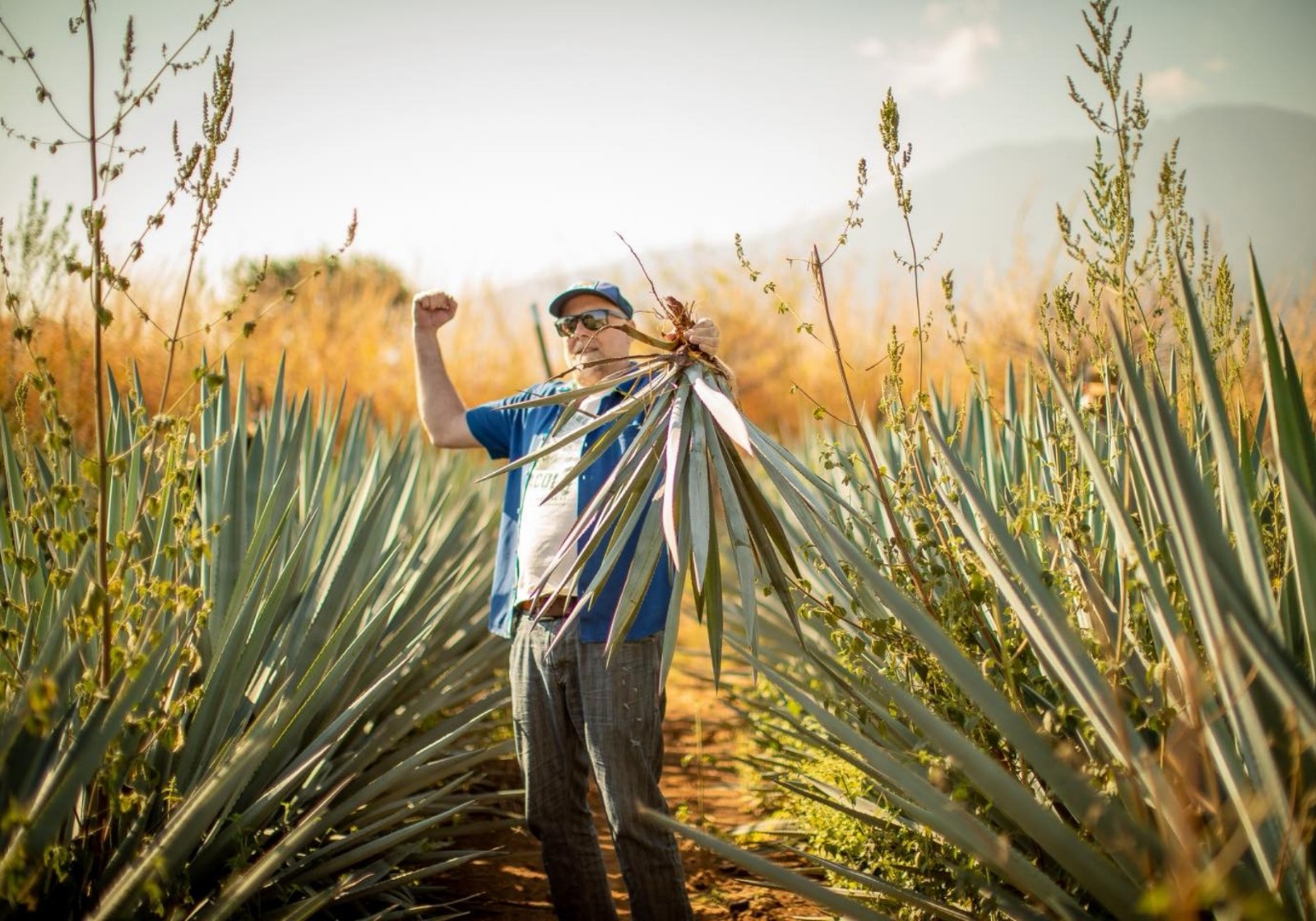 Tequila Town